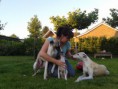 /album/fotogalerij/a2014-07-03-21-06-27-jpg/